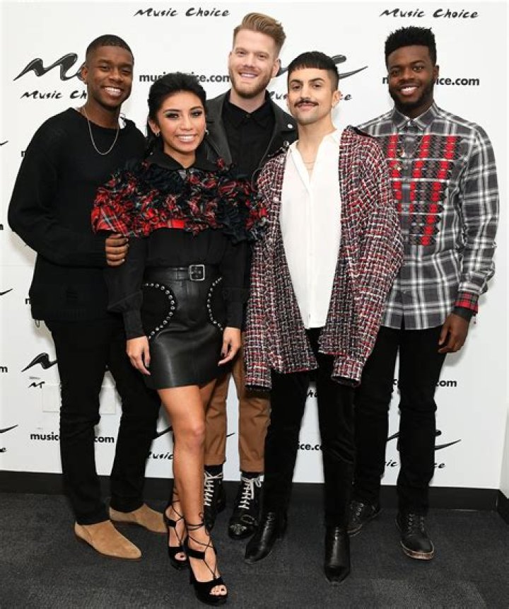 All About the Pentatonix Members' Partners