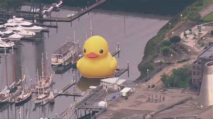 Is Ducky Really Gone? The Truth Behind His Final Fate