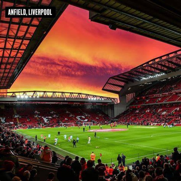 Pin on Liverpool FC